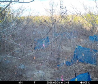 Feb 3 2026 16:13:48, #01