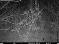 Feb 3 2026 19:13:48, #01