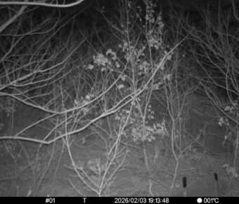 Feb 3 2026 19:13:48, #01