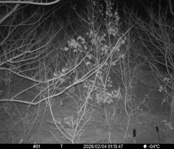 Feb 4 2026  1:13:47, #01