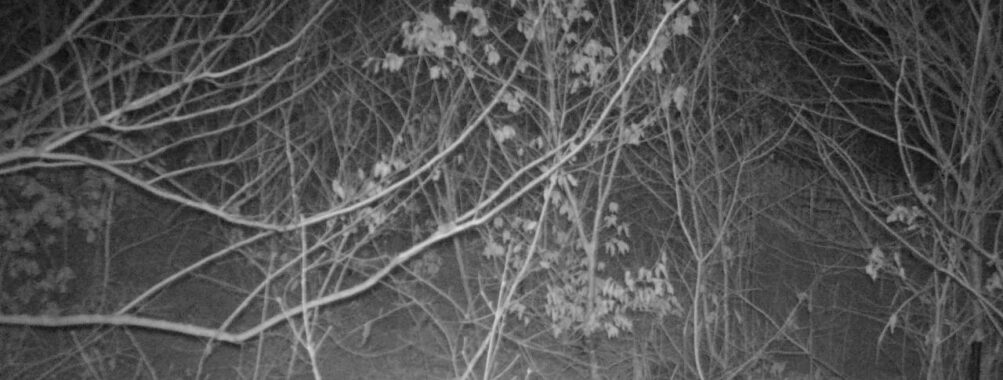 Feb 4 2026  4:13:46, #01