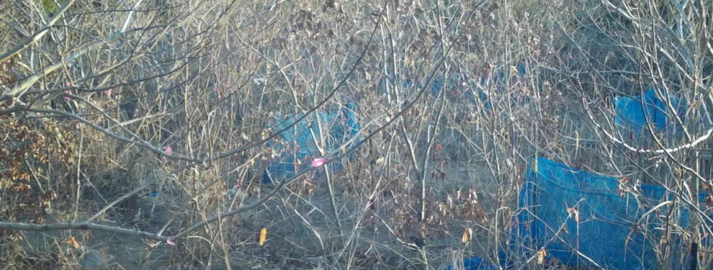 Feb 4 2026  7:13:48, #01