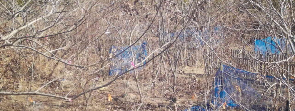 Feb 4 2026 10:13:47, #01