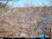 Feb 4 2026 10:13:47, #01