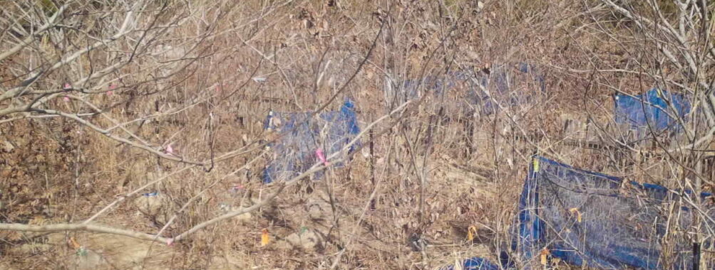 Feb 4 2026 13:13:48, #01