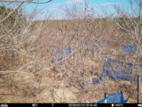 Feb 4 2026 13:13:48, #01