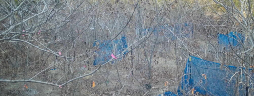 Feb 4 2026 16:13:48, #01