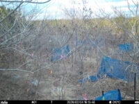 Feb 4 2026 16:13:48, #01