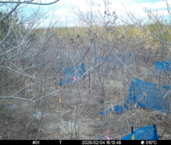 Feb 4 2026 16:13:48, #01