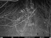 Feb 5 2026  1:13:47, #01