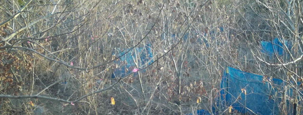 Feb 5 2026  7:13:48, #01