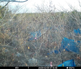 Feb 5 2026  7:13:48, #01