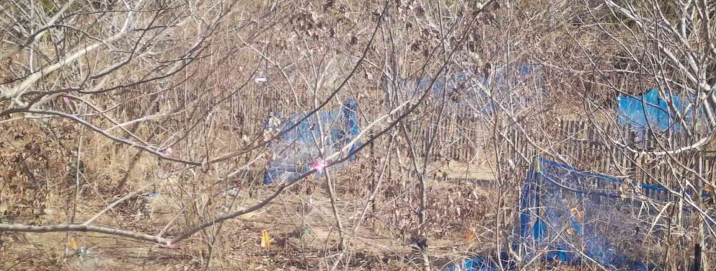 Feb 5 2026 10:13:48, #01