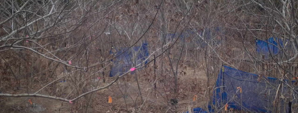 Feb 5 2026 13:13:47, #01