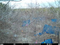 Feb 5 2026 16:13:48, #01