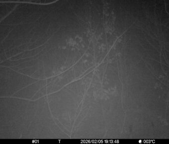 Feb 5 2026 19:13:48, #01