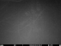 Feb 5 2026 22:13:47, #01