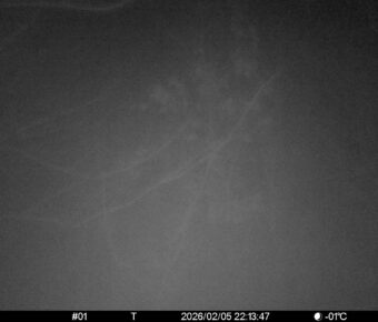 Feb 5 2026 22:13:47, #01