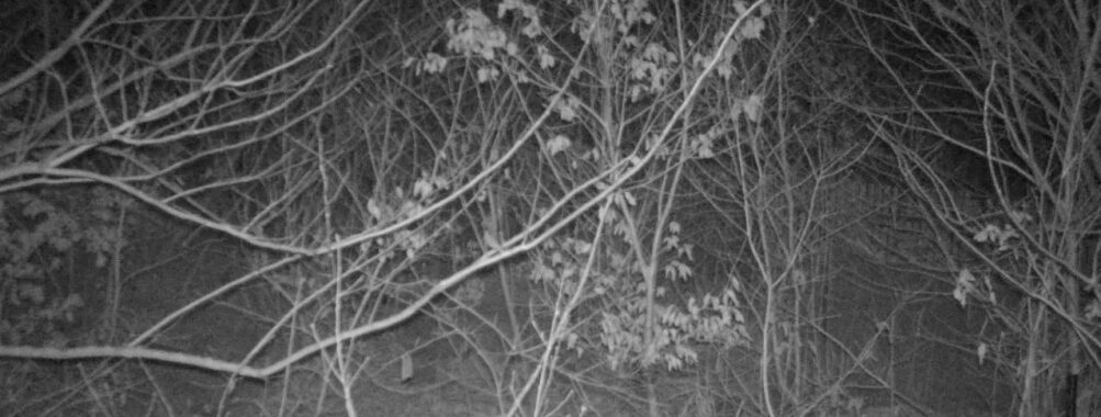 Feb 6 2026  4:13:48, #01