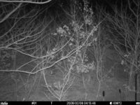 Feb 6 2026  4:13:48, #01