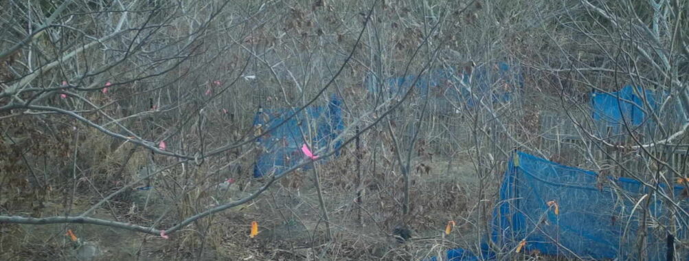 Feb 6 2026  7:13:48, #01