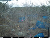 Feb 6 2026  7:13:48, #01