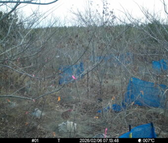 Feb 6 2026  7:13:48, #01