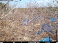 Feb 6 2026 10:13:48, #01