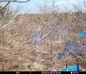 Feb 6 2026 10:13:48, #01