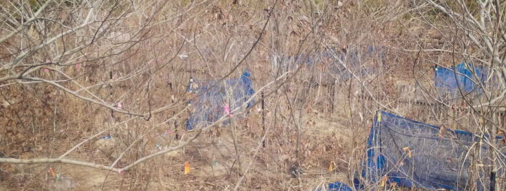 Feb 6 2026 13:13:47, #01