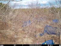 Feb 6 2026 13:13:47, #01