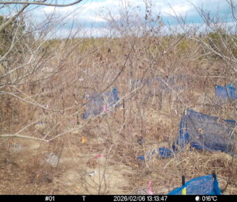 Feb 6 2026 13:13:47, #01