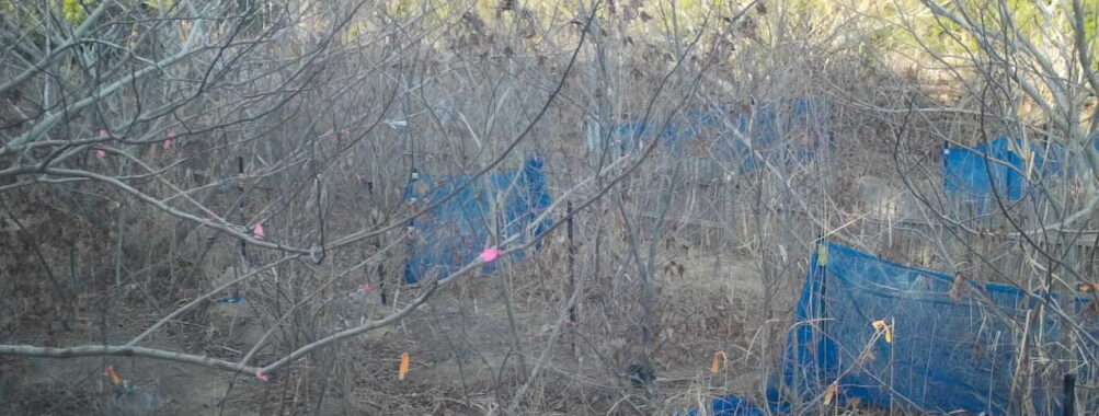 Feb 6 2026 16:13:48, #01