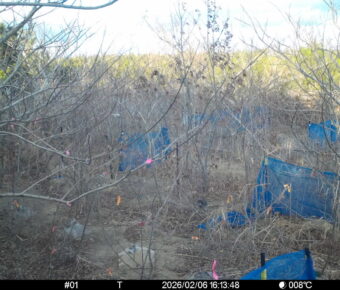 Feb 6 2026 16:13:48, #01