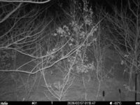 Feb 7 2026  1:13:47, #01