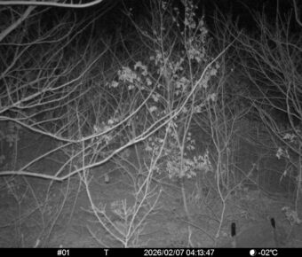 Feb 7 2026  4:13:47, #01