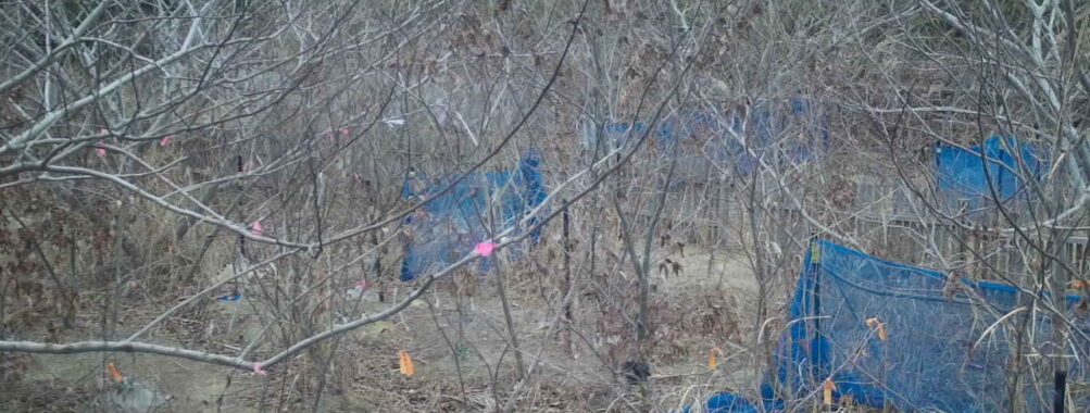 Feb 7 2026  7:13:48, #01