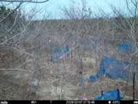 Feb 7 2026  7:13:48, #01