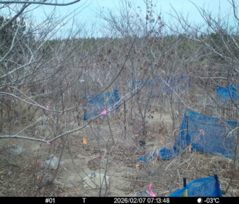 Feb 7 2026  7:13:48, #01