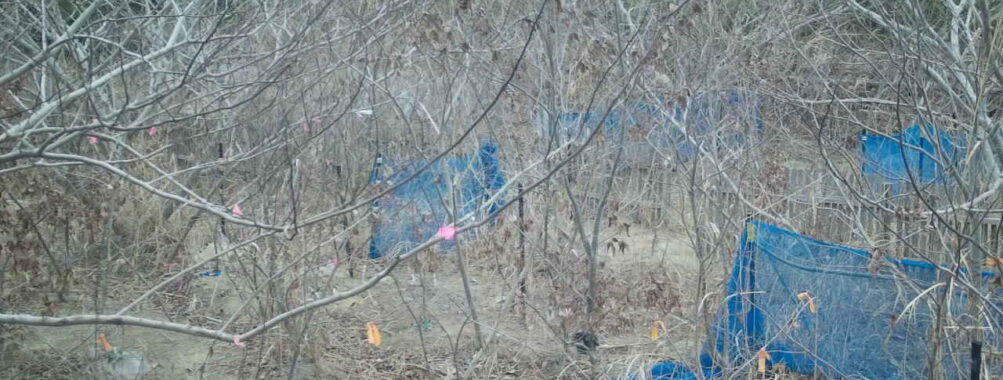 Feb 7 2026 10:13:48, #01