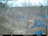 Feb 7 2026 10:13:48, #01