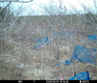 Feb 7 2026 10:13:48, #01