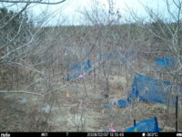 Feb 7 2026 13:13:48, #01