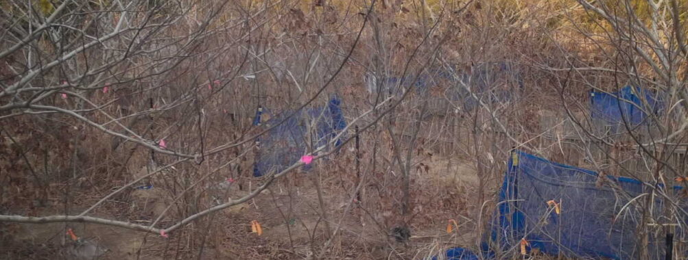 Feb 7 2026 16:13:47, #01