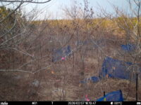 Feb 7 2026 16:13:47, #01