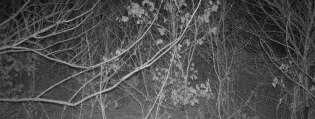 Feb 7 2026 22:13:47, #01