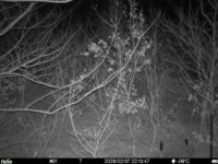 Feb 7 2026 22:13:47, #01