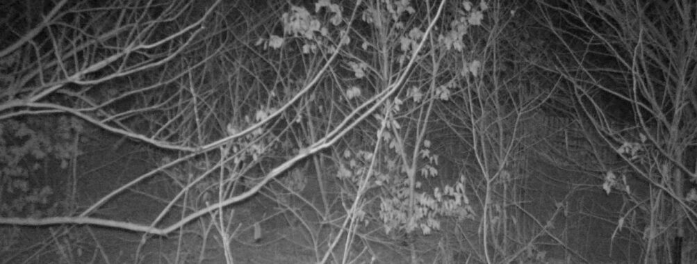 Feb 8 2026  4:13:48, #01