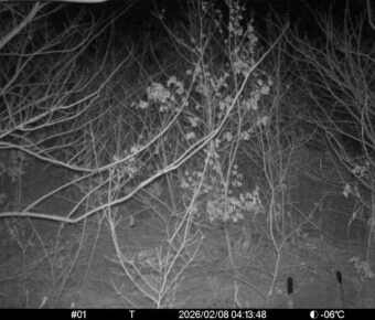 Feb 8 2026  4:13:48, #01