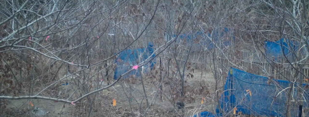 Feb 8 2026  7:13:48, #01